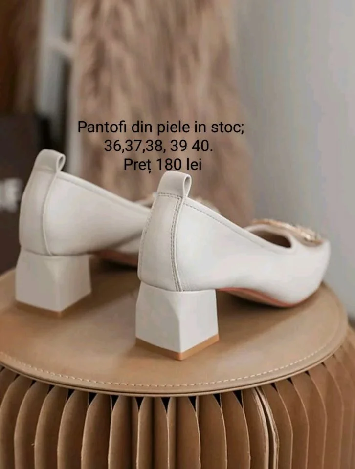 Pantofi cu toc